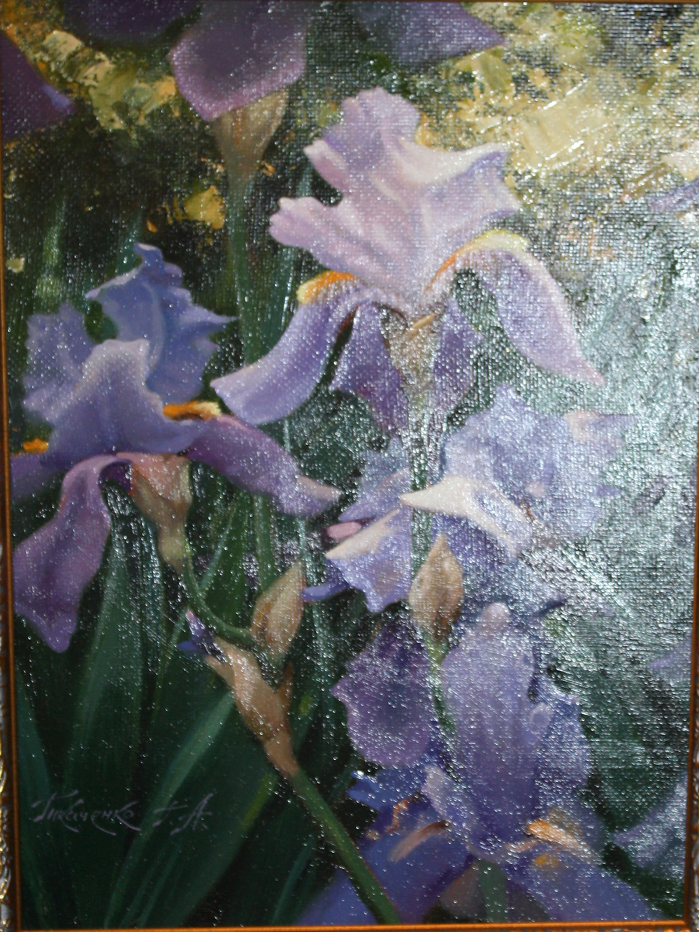 Ирисы
